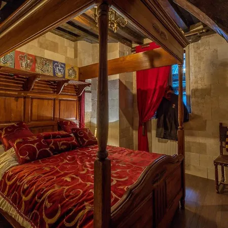 Harry Potter-Themed Room 公寓 图尔